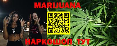 мдпв Камышлов