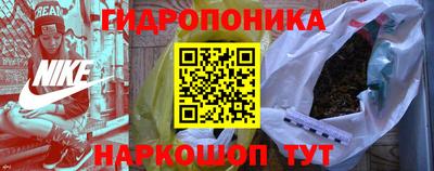 мдпв Камышлов