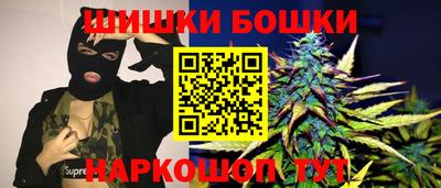 мдпв Камышлов