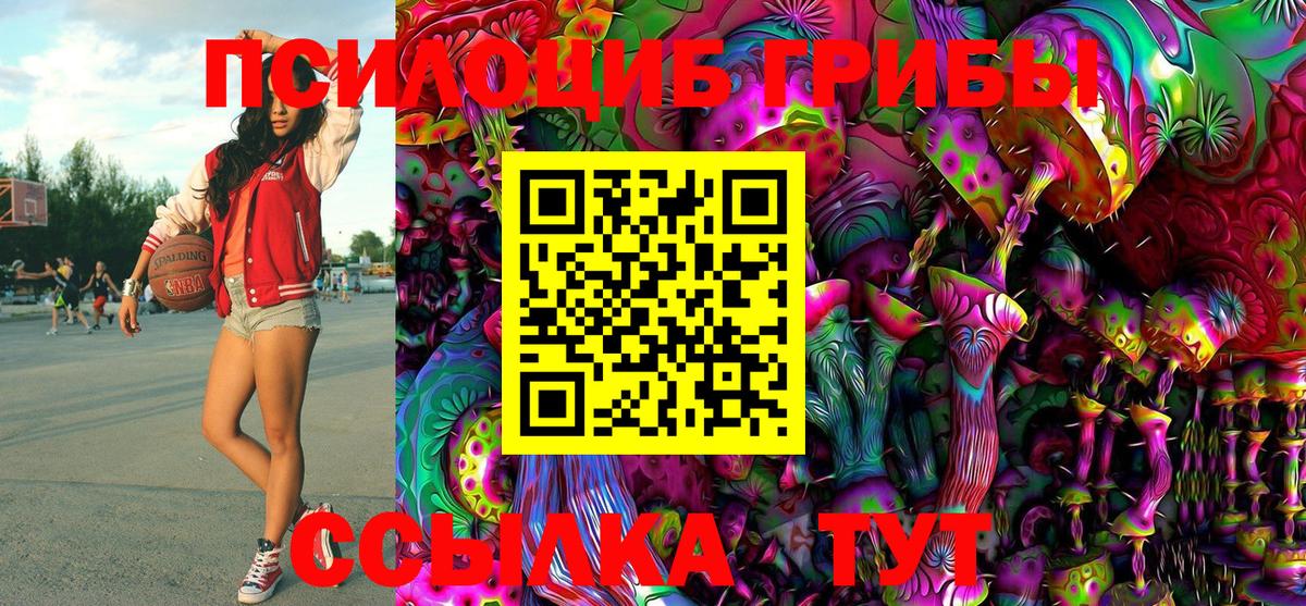 Псилоцибиновые грибы GOLDEN TEACHER Миасс